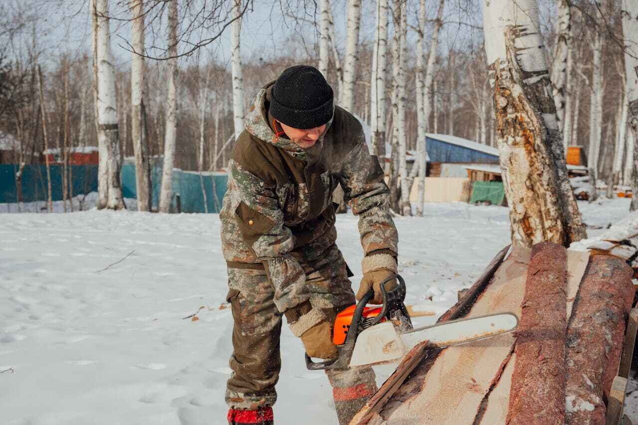 Best Palm Tree Trimming  in Whitesboro, NJ